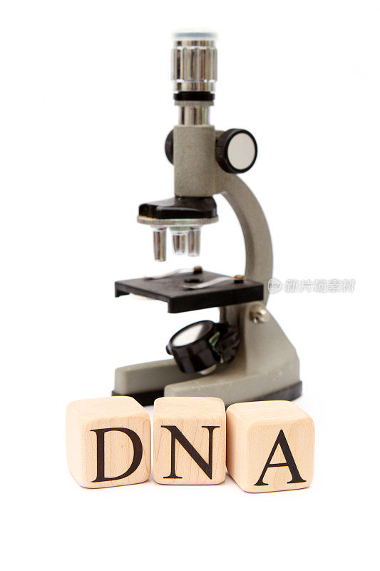 构建模块- DNA